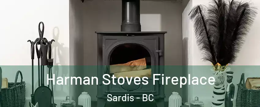 Harman Stoves Fireplace Sardis - BC