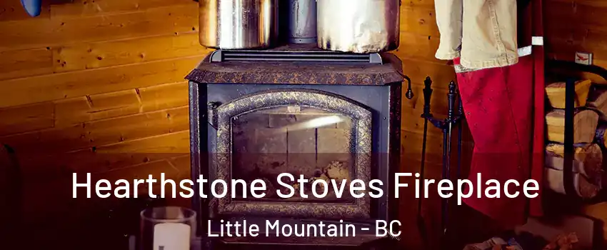  Hearthstone Stoves Fireplace Little Mountain - BC