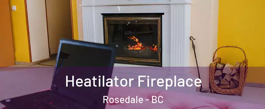 Heatilator Fireplace Rosedale - BC