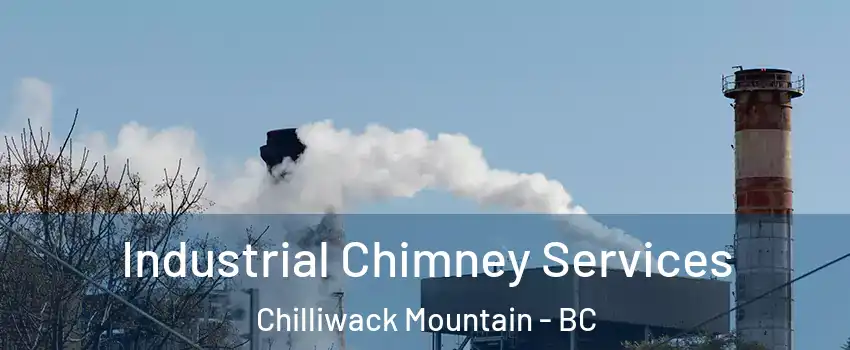 Industrial Chimney Services Chilliwack Mountain - BC