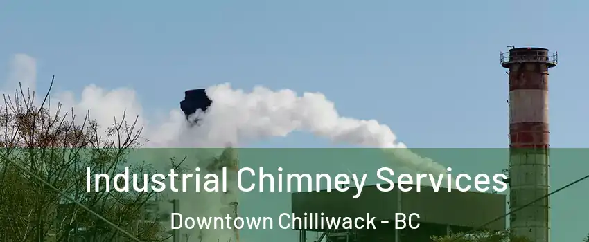 Industrial Chimney Services Downtown Chilliwack - BC