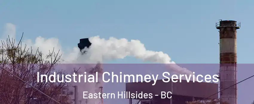  Industrial Chimney Services Eastern Hillsides - BC