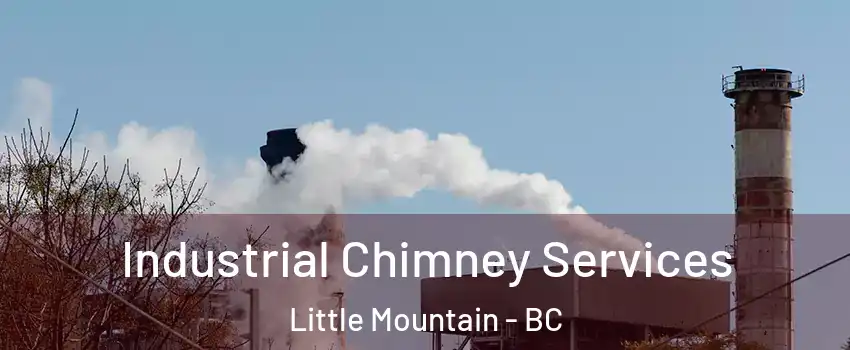 Industrial Chimney Services Little Mountain - BC