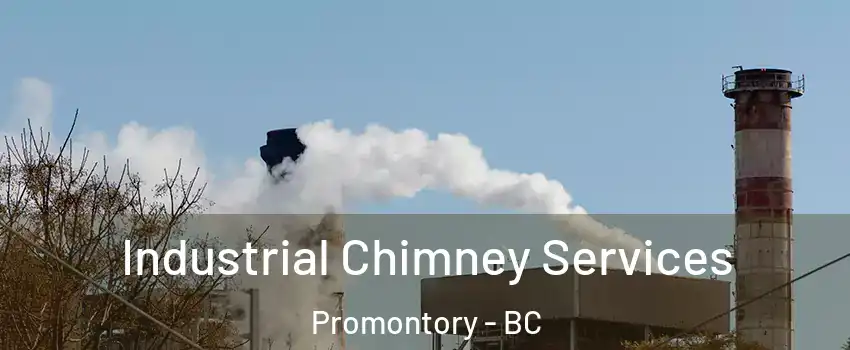 Industrial Chimney Services Promontory - BC