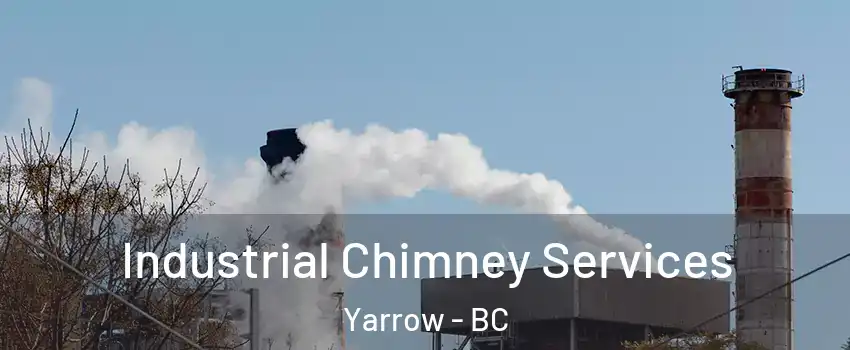 Industrial Chimney Services Yarrow - BC