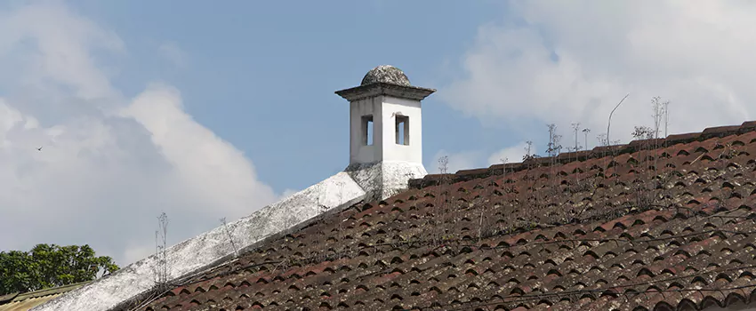 Wind-Resistant Chimney Caps Installation and Repair Services in Chilliwack, British Columbia