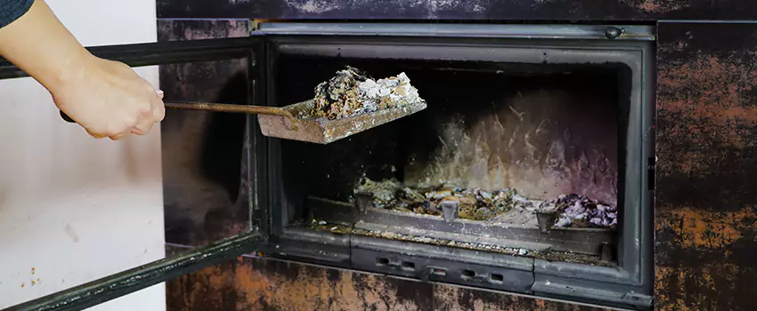 Wood Burning Chimney Odor Removal in Chilliwack, British Columbia