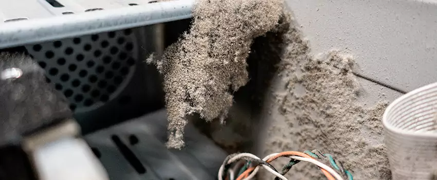 Clogged Dryer Vent Lint Cleaning in Chilliwack, British Columbia