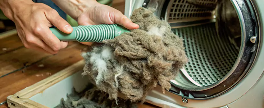 Best Dryer Lint Removal Company in Chilliwack, British Columbia