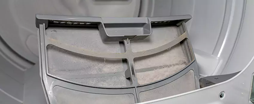 Benefits of Professional Clogged Dryer Vent Cleaning in Chilliwack, British Columbia