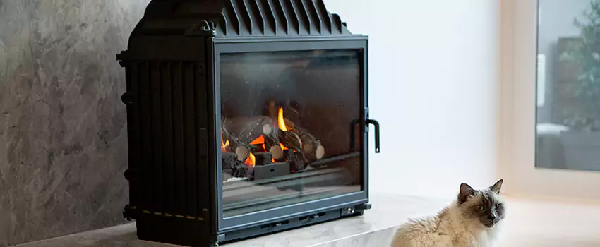 Fireplace Damaged Damper Frame Repair Services in Chilliwack, British Columbia