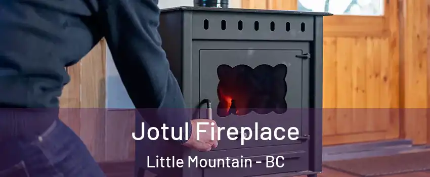 Jotul Fireplace Little Mountain - BC