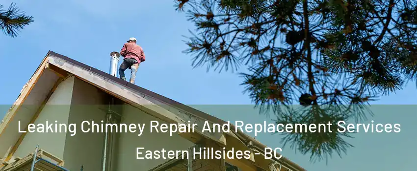 Leaking Chimney Repair And Replacement Services Eastern Hillsides - BC