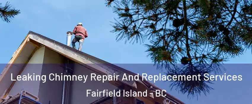 Leaking Chimney Repair And Replacement Services Fairfield Island - BC