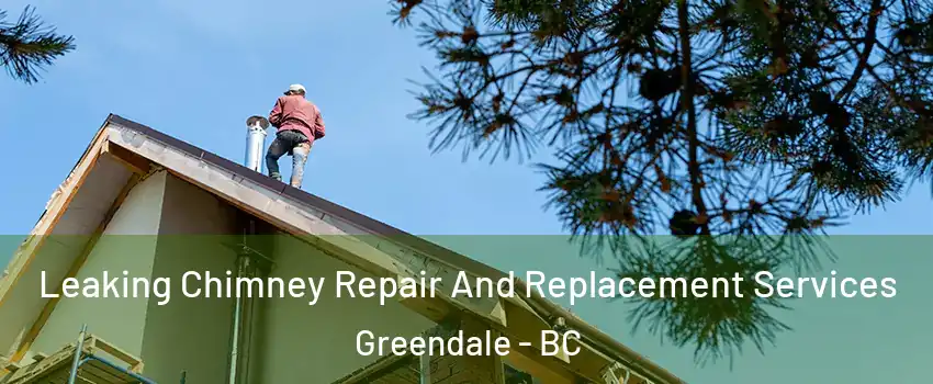 Leaking Chimney Repair And Replacement Services Greendale - BC