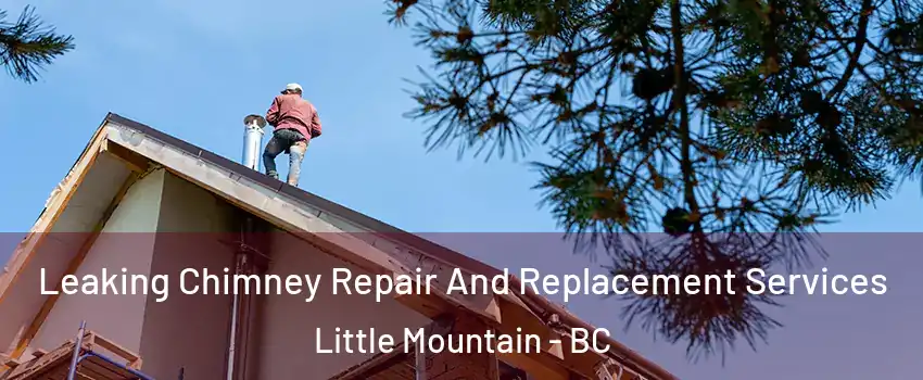 Leaking Chimney Repair And Replacement Services Little Mountain - BC