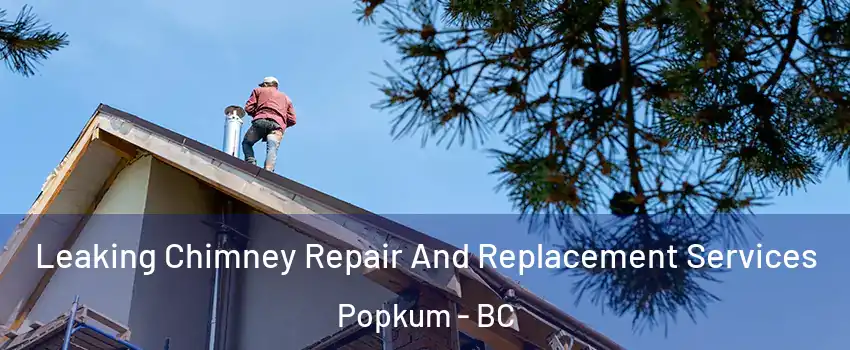 Leaking Chimney Repair And Replacement Services Popkum - BC