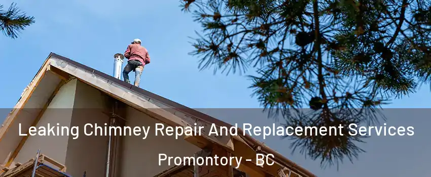 Leaking Chimney Repair And Replacement Services Promontory - BC