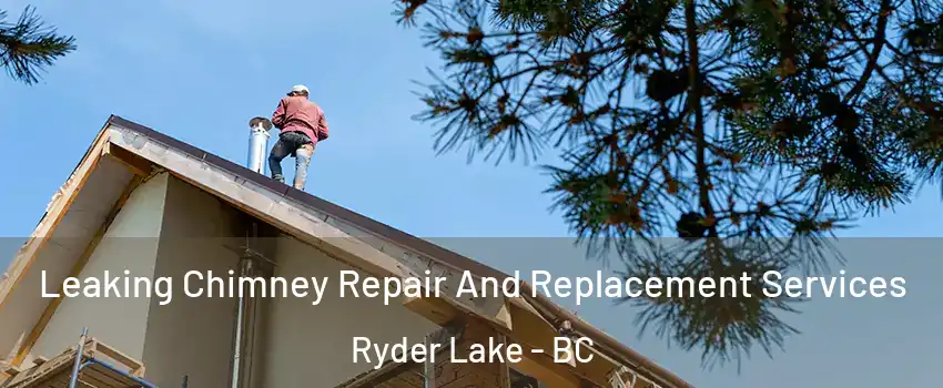Leaking Chimney Repair And Replacement Services Ryder Lake - BC