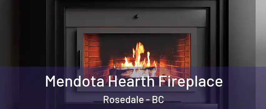 Mendota Hearth Fireplace Rosedale - BC
