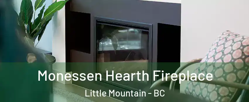 Monessen Hearth Fireplace Little Mountain - BC