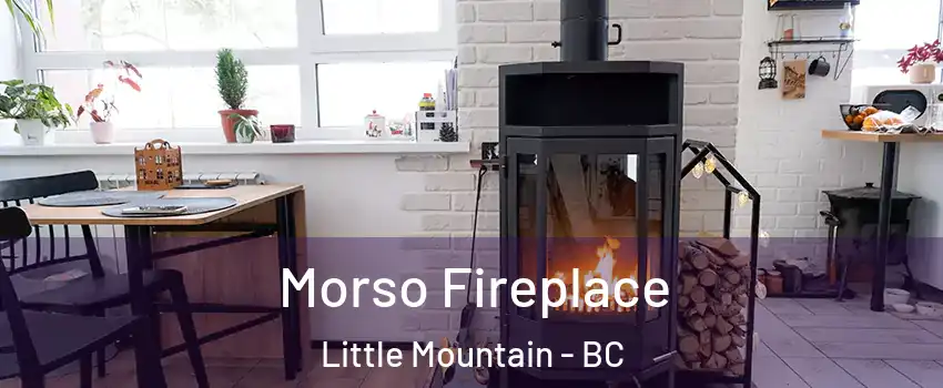 Morso Fireplace Little Mountain - BC