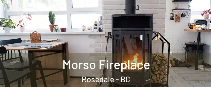 Morso Fireplace Rosedale - BC
