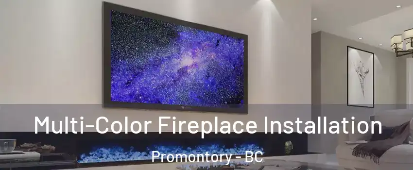 Multi-Color Fireplace Installation Promontory - BC