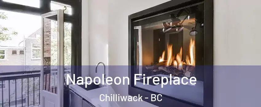  Napoleon Fireplace Chilliwack - BC