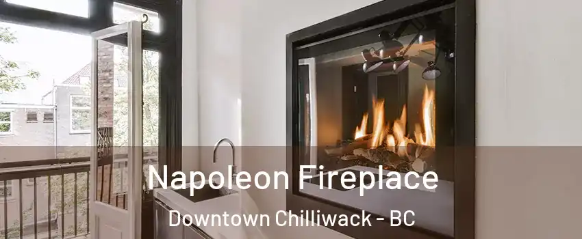 Napoleon Fireplace Downtown Chilliwack - BC