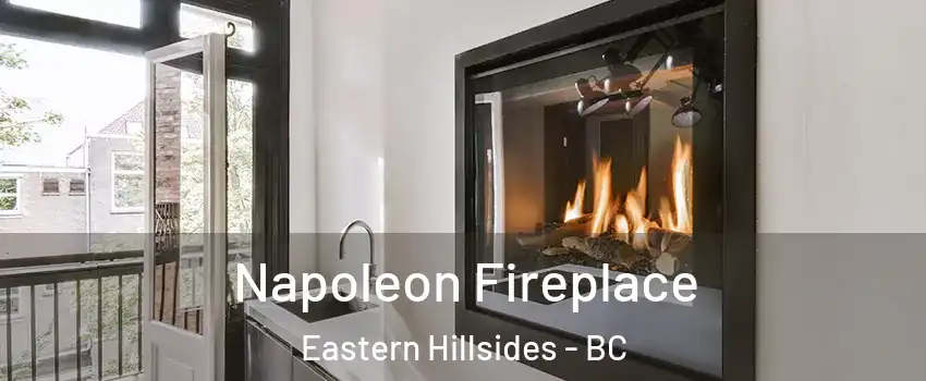  Napoleon Fireplace Eastern Hillsides - BC