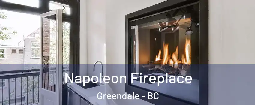 Napoleon Fireplace Greendale - BC