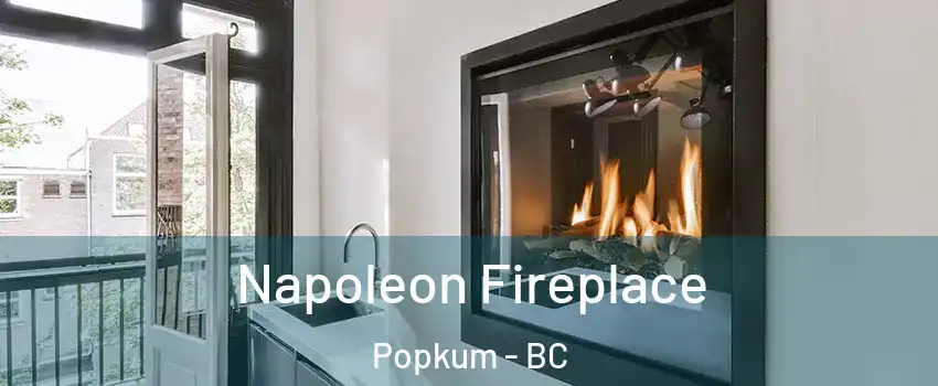 Napoleon Fireplace Popkum - BC