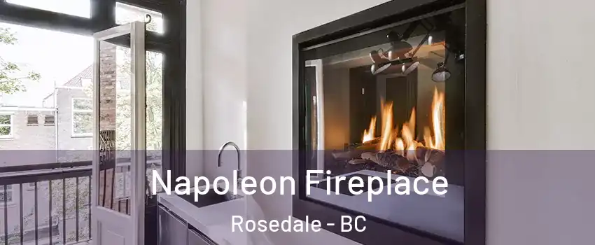 Napoleon Fireplace Rosedale - BC