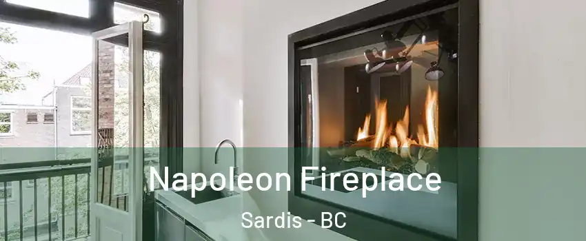 Napoleon Fireplace Sardis - BC