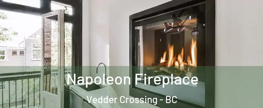 Napoleon Fireplace Vedder Crossing - BC