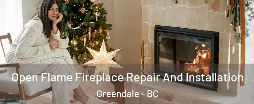 Open Flame Fireplace Repair And Installation Greendale - BC