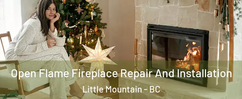Open Flame Fireplace Repair And Installation Little Mountain - BC