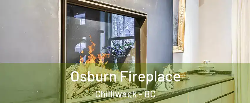  Osburn Fireplace Chilliwack - BC