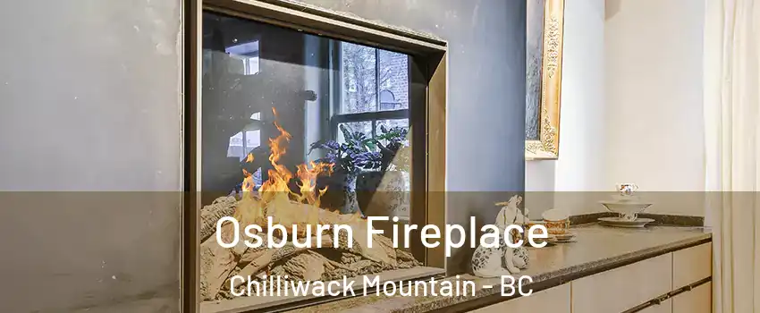 Osburn Fireplace Chilliwack Mountain - BC