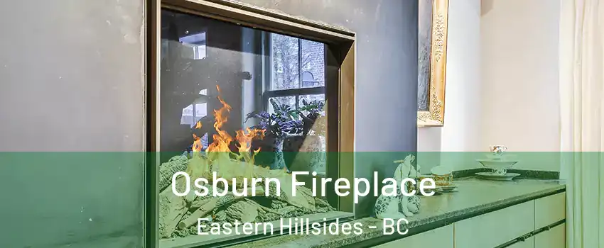 Osburn Fireplace Eastern Hillsides - BC