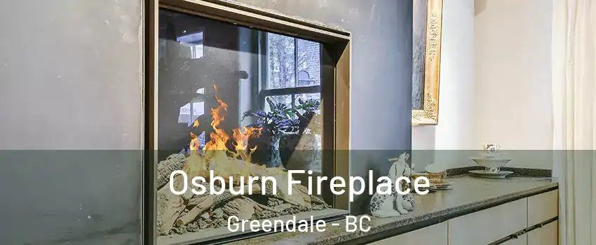 Osburn Fireplace Greendale - BC