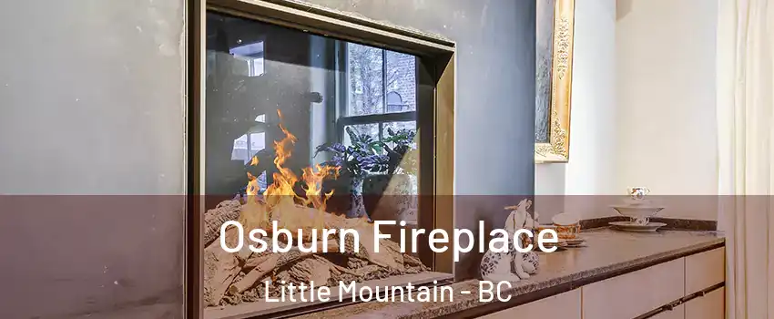 Osburn Fireplace Little Mountain - BC