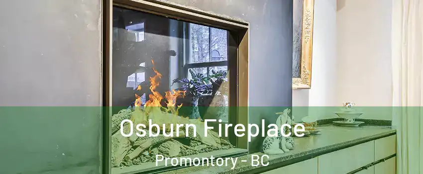 Osburn Fireplace Promontory - BC