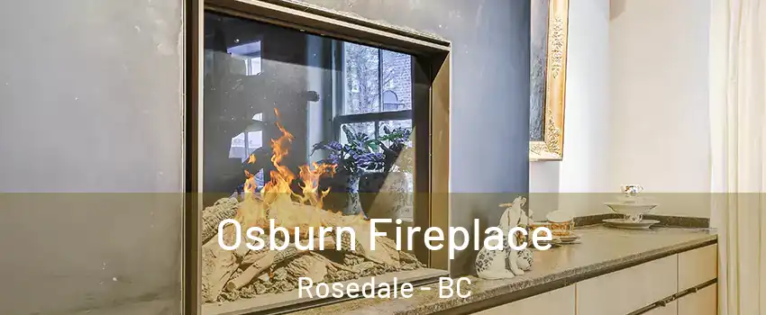 Osburn Fireplace Rosedale - BC