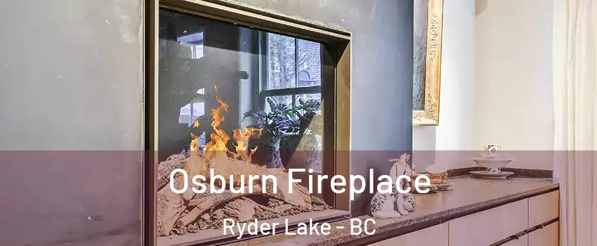 Osburn Fireplace Ryder Lake - BC