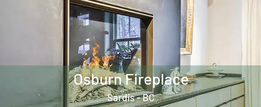 Osburn Fireplace Sardis - BC