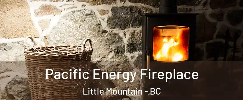 Pacific Energy Fireplace Little Mountain - BC