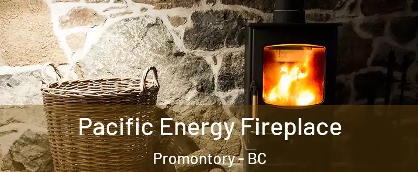 Pacific Energy Fireplace Promontory - BC