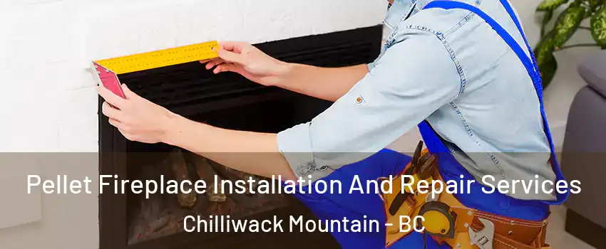 Pellet Fireplace Installation And Repair Services Chilliwack Mountain - BC